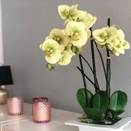 Appartement Wohnen Zuhause - Zu Gast In