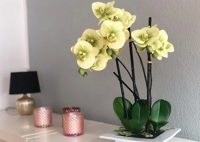 Appartamento Wohnen Zuhause - Zu Gast In